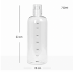 Pack x2 Daily Bottle Vidrio 750ml